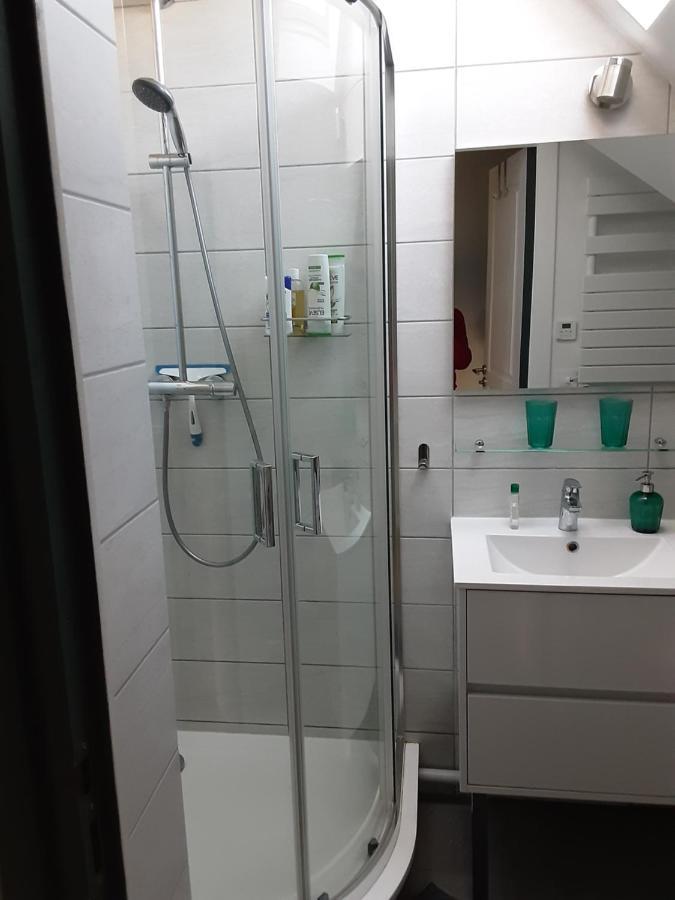 Charmant Appartement A 150 M Des Thermes Et Du Centre Ville Thonon-les-Bains Zewnętrze zdjęcie
