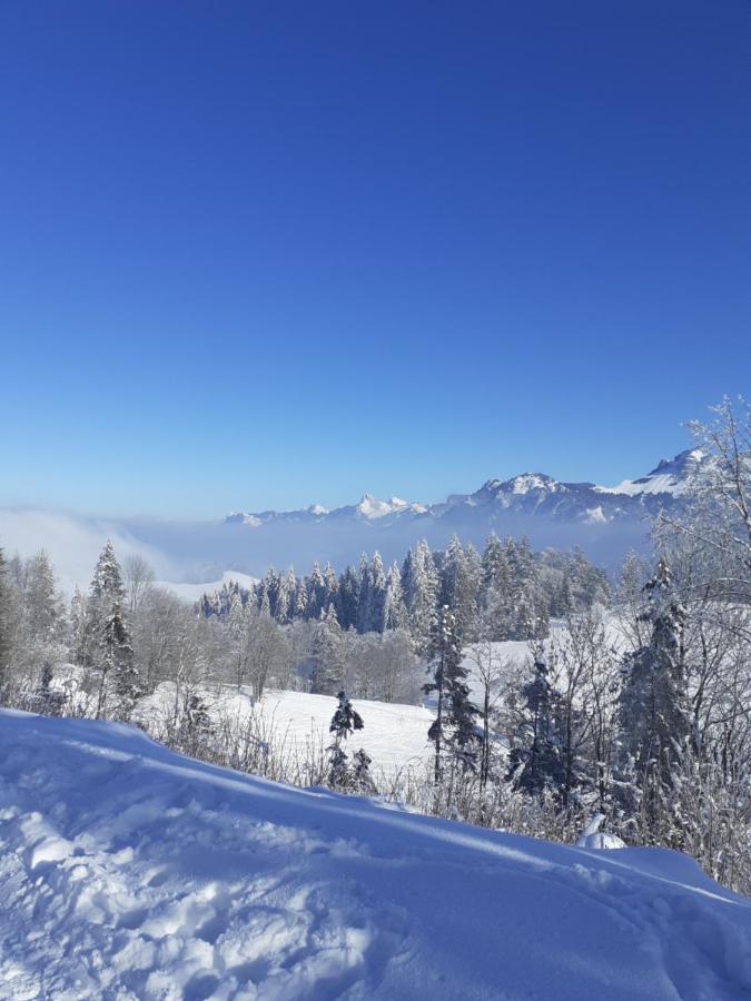 Charmant Appartement A 150 M Des Thermes Et Du Centre Ville Thonon-les-Bains Zewnętrze zdjęcie