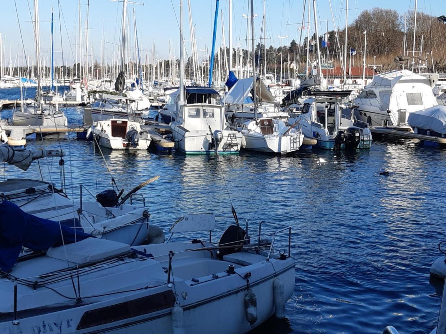 Charmant Appartement A 150 M Des Thermes Et Du Centre Ville Thonon-les-Bains Zewnętrze zdjęcie